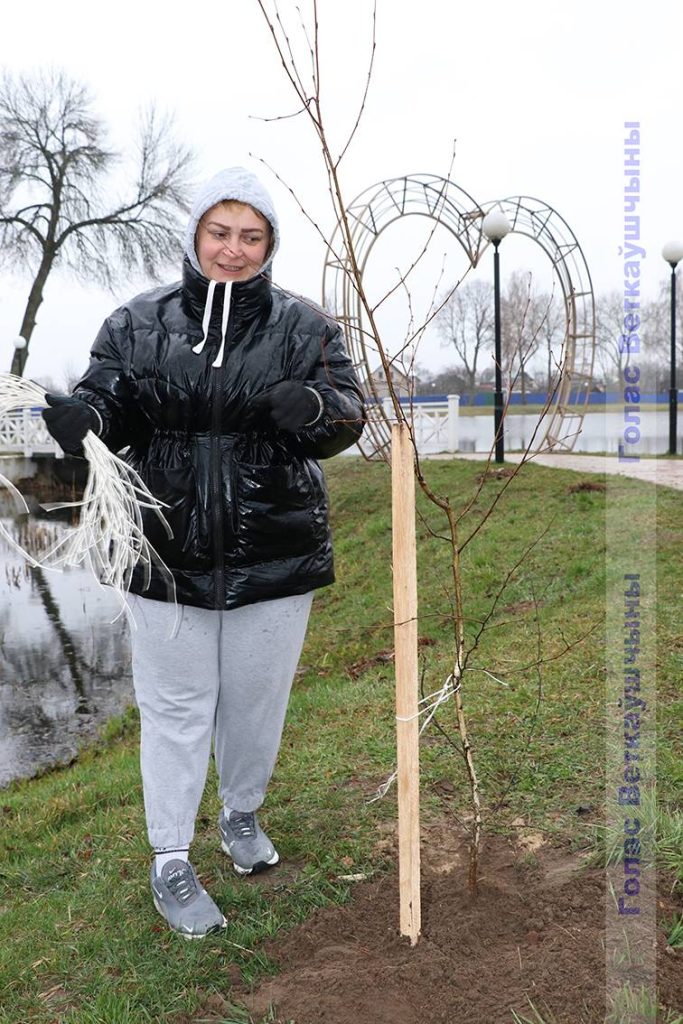 img_0937-683x1024 Парковая часть зоны отдыха «Ставок» пополнилась десятками молодых деревьев
