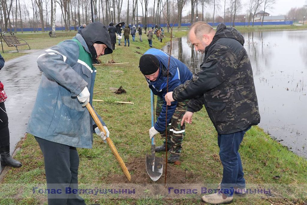 img_0939-1-1024x683 Парковая часть зоны отдыха «Ставок» пополнилась десятками молодых деревьев
