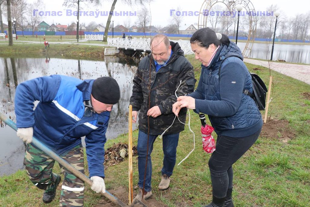img_0944-1024x683 Парковая часть зоны отдыха «Ставок» пополнилась десятками молодых деревьев