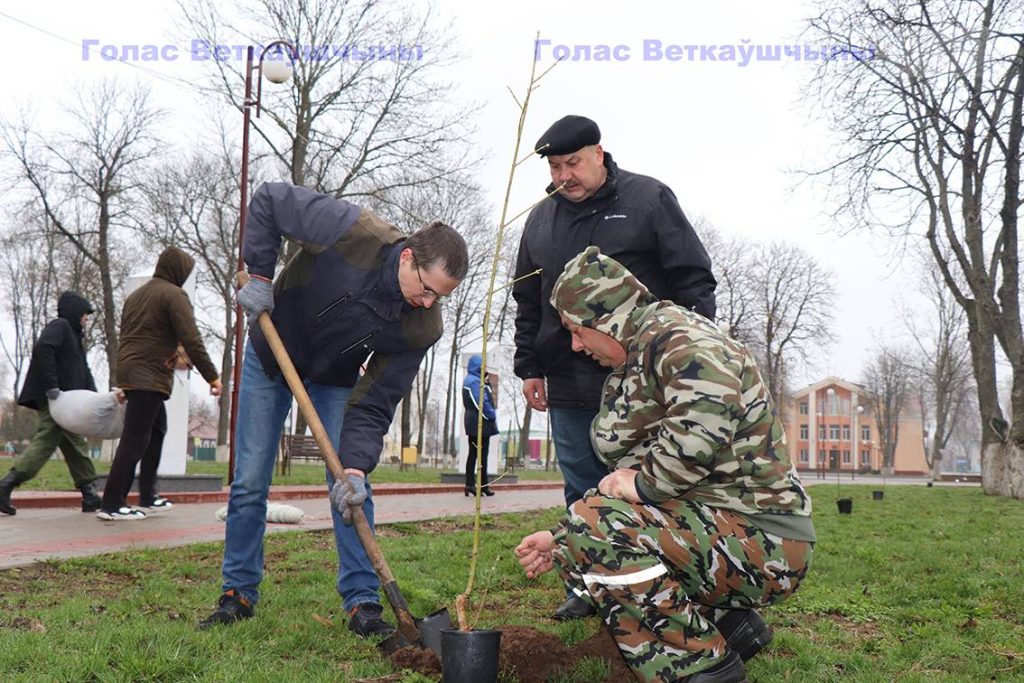 img_1046-1024x683 В Год исторической памяти на Аллее героев на Красной площади появилась ещё одна аллея - кленовая. Первое дерево посадили глава района Павел Силивончик и глава депутатского корпуса Виктор Масейков
