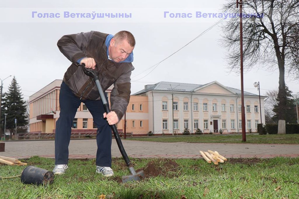 img_1050-1024x683 В Год исторической памяти на Аллее героев на Красной площади появилась ещё одна аллея - кленовая. Первое дерево посадили глава района Павел Силивончик и глава депутатского корпуса Виктор Масейков