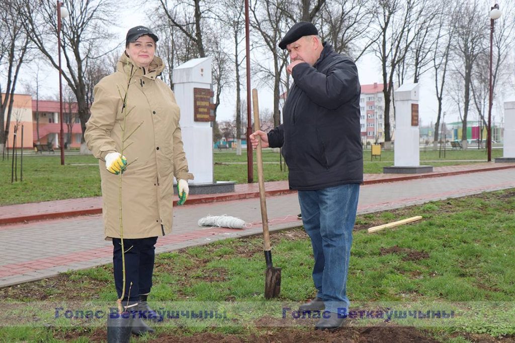 img_1059-1024x683 В Год исторической памяти на Аллее героев на Красной площади появилась ещё одна аллея - кленовая. Первое дерево посадили глава района Павел Силивончик и глава депутатского корпуса Виктор Масейков