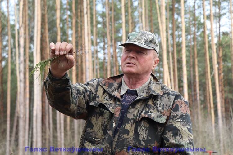 vetkovski_raion_les_raispolkom_15_04-2 В Ветковском районе продолжается Неделя леса. Сегодня вахту принял коллектив райисполкома