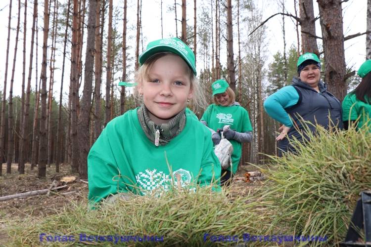 vetkovski_raion_les_raispolkom_15_04-4 В Ветковском районе продолжается Неделя леса. Сегодня вахту принял коллектив райисполкома