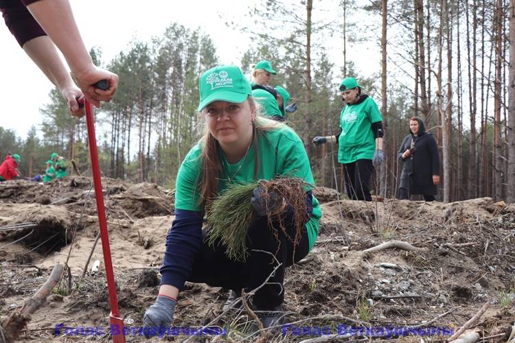 vetkovski_raion_les_raispolkom_15_04-7 В Ветковском районе продолжается Неделя леса. Сегодня вахту принял коллектив райисполкома