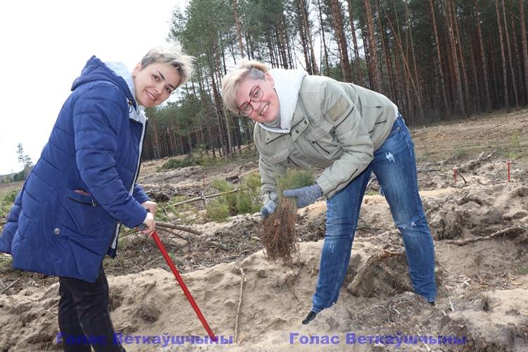 vetkovski_raion_les_raispolkom_15_04-8 В Ветковском районе продолжается Неделя леса. Сегодня вахту принял коллектив райисполкома