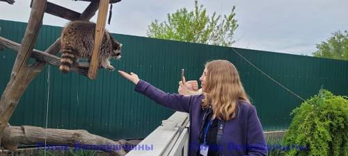 9 Речица. "Вытоки". Участники пресс-тура переместились из музея на улицы города