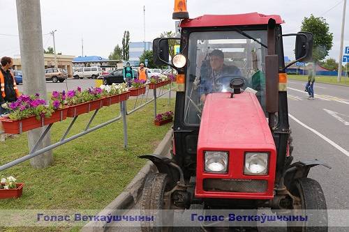 subotnik_03 На Ветковщине проходит районный субботник