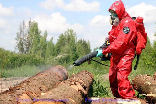 stihija-2 Устраняем последствия стихии в Ветке и Могилёве
