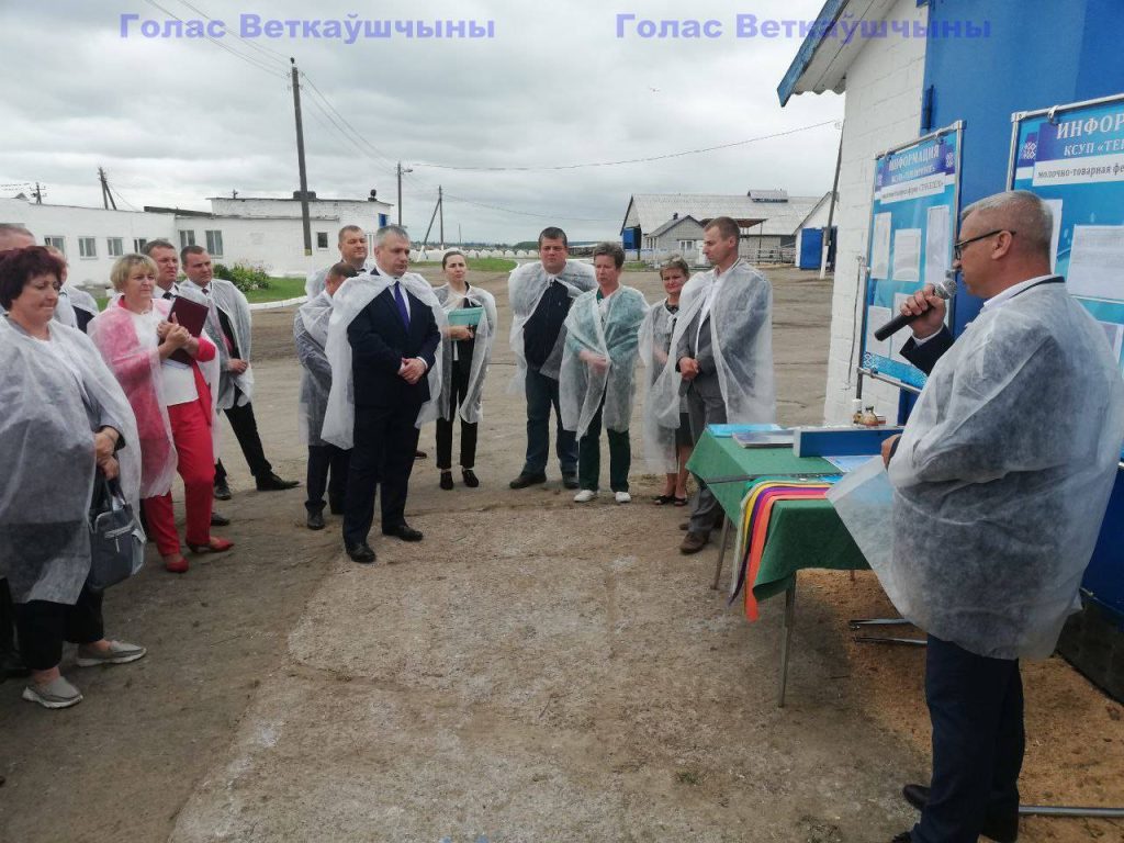 vetkovski_raion_-seminar-1-1024x768 Участники семинара переместились в отделение "Старое Село" КСУП "Тепличное"