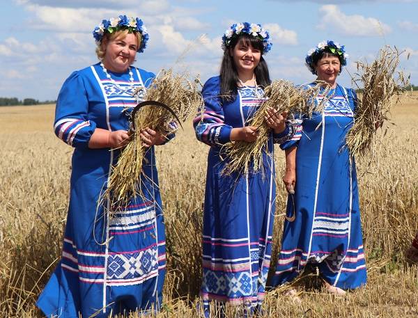 img_8041a В Ветковском районе прошёл обряд «Зажинки»