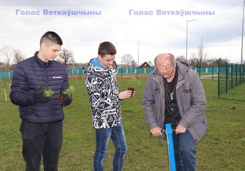 vetkovski_raion_les-1-2 Гимназисты посадили бор