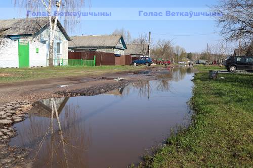 vetkovski_raion_lesnaa-1-3 Лесная превращается в Болотную