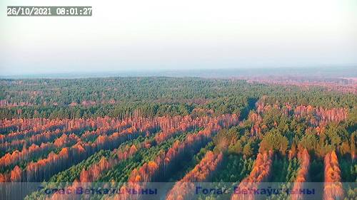 5 Охрана, которой не надо вставать рано