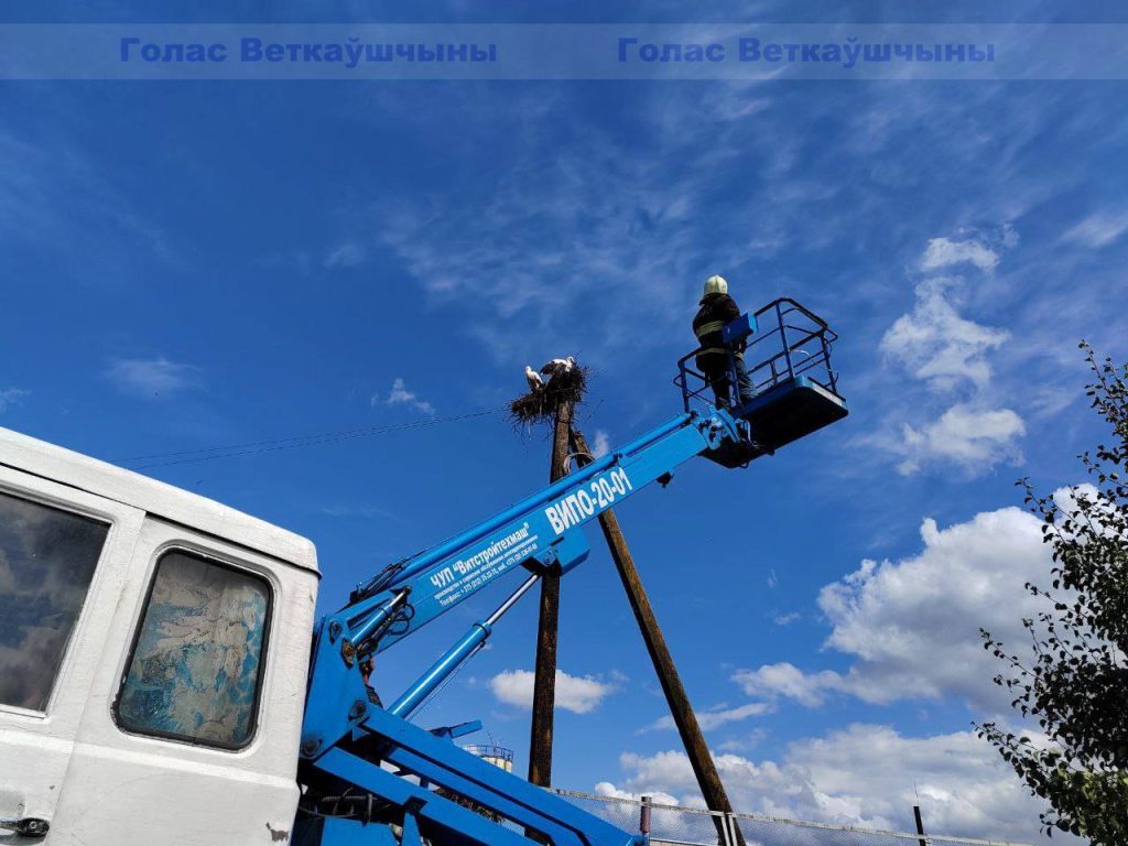 vetka_vetkovskij_rajon_aist-1-6-1024x768 В Ветке прошла операция по спасению аиста