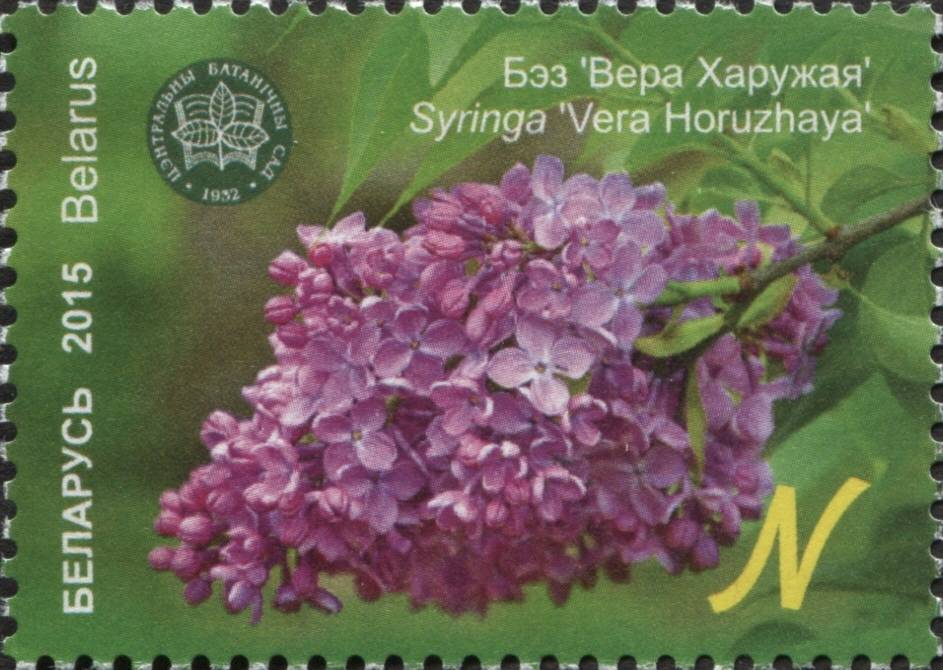 li7kwgdscwa 27 сентября исполняется 120 лет со дня рождения Веры Хоружей