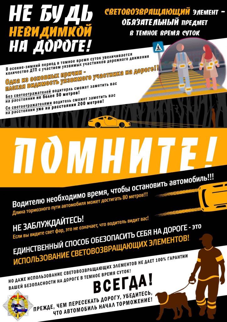 nmey0i0xk8i-724x1024 27 октября в Ветковском районе пройдёт Единый день безопасности дорожного движения