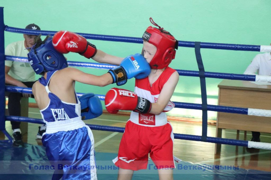 vetka_vetkovskij_rajon_boks-1-2-1024x682 На ринге — боксёры
