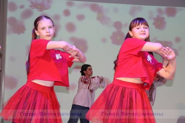vetka_vetkovskij_rajon_vlksm-105-8 В Ветке прошёл праздничный концерт, посвящённый 105-летию комсомола Беларуси