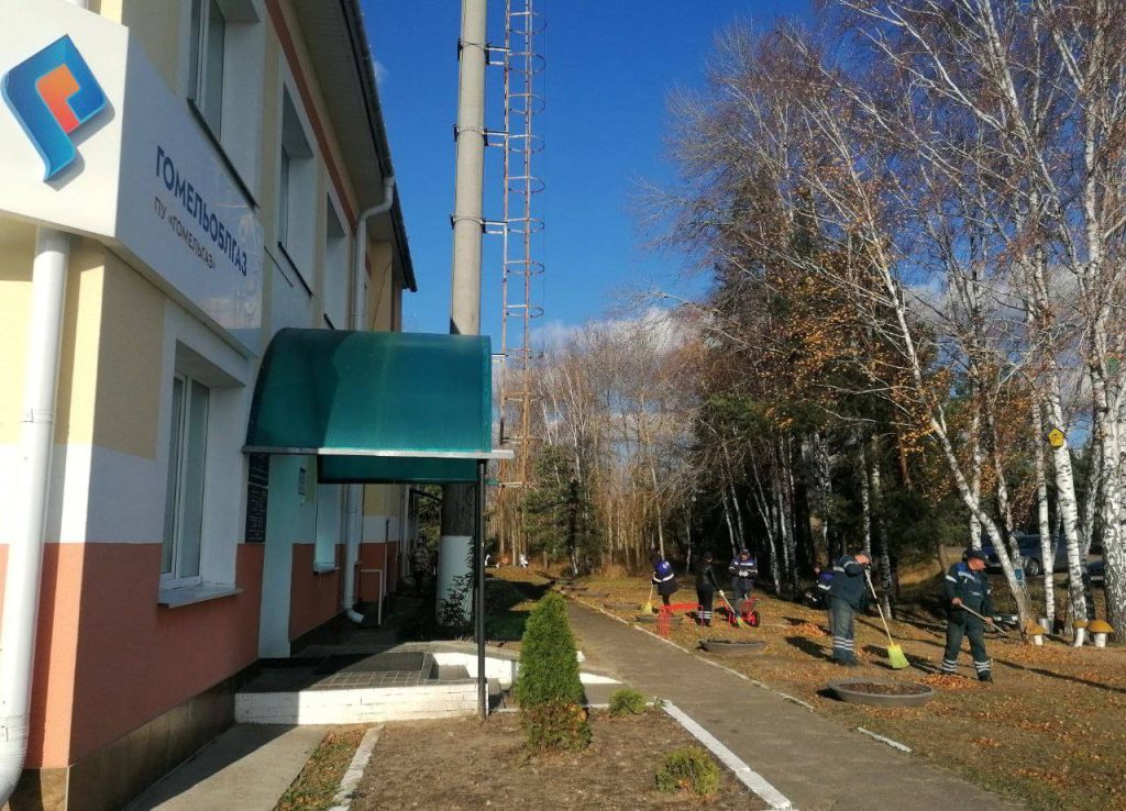 photo_2023-11-03_14-55-32-2-1024x738 Ветковчане вышли на субботник