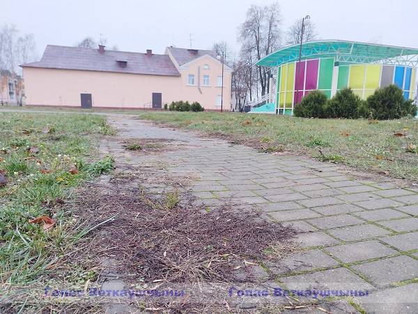 vetkq_vetkovskij_rajon_kzyp-1-2 Вода подмыла. Снег засыпет...