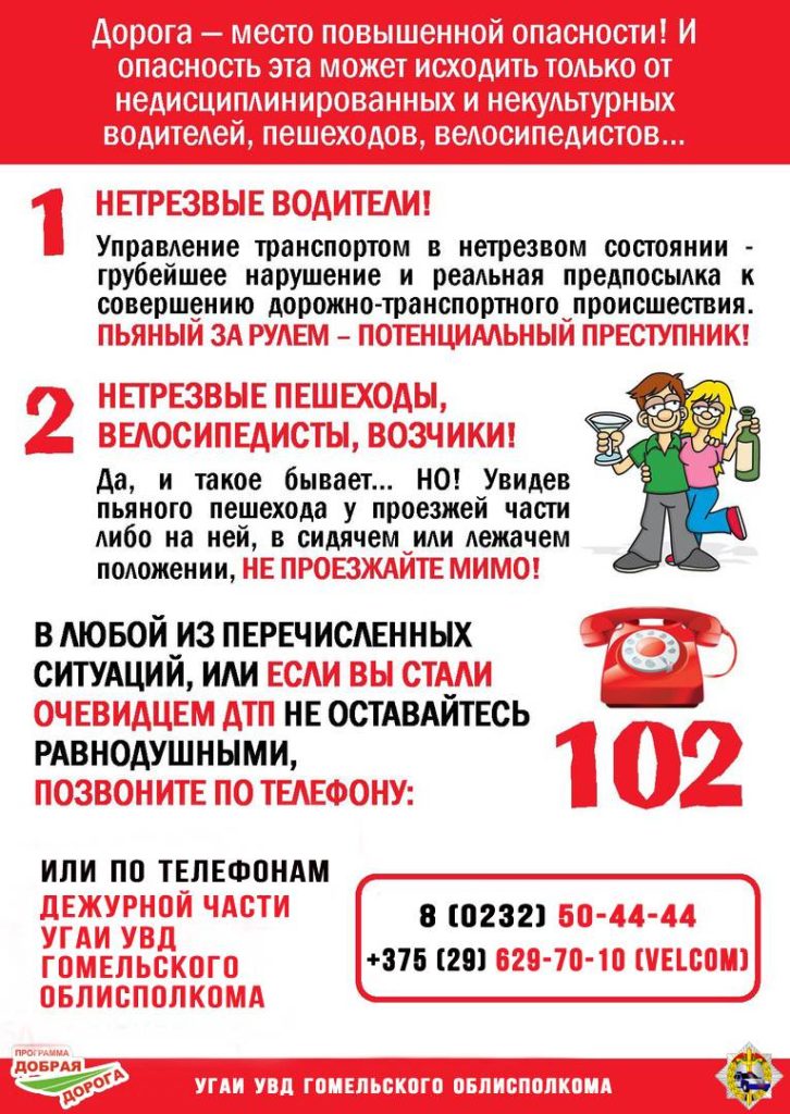 peshehody-i-voditeli-netrezvye-726x1024 29 декабря на территории Ветковского района пройдёт Единый день безопасности дорожного движения