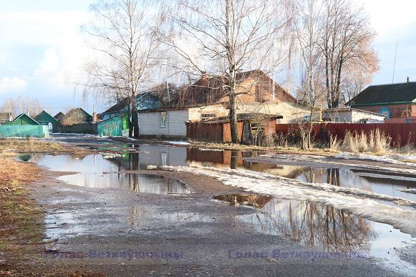 vetka_vetkovskij_rajon_voda-1-4 Вместо снега вода