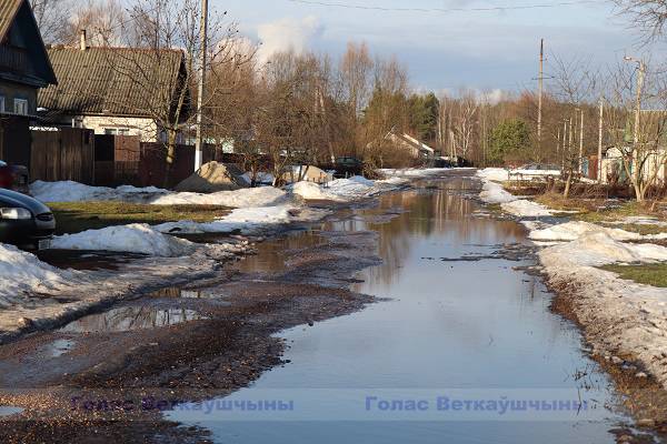 vetka_vetkovskij_rajon_voda-1-7 Вместо снега вода