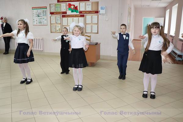 vetka_vetkovskij_rajon_nemki-1-6 Просьбы сельчан слышат и выполняют
