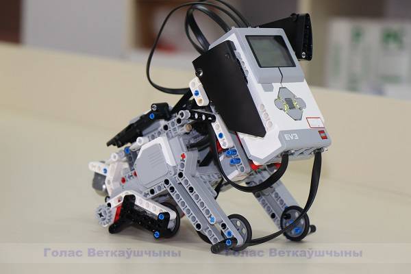 vetka_vetkovskij_rajon_robot-1-6 Гимназисты изучают робототехнику
