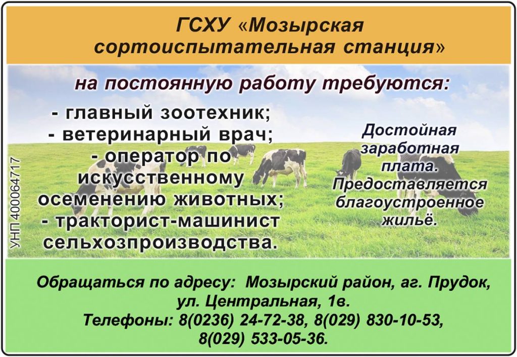 mozyr-1024x708 Есть работа в Мозырском районе