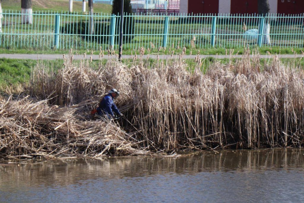 491932249_1246521004143447_5799036604405747780_n-1024x683 В Ветке начались работы по благоустройству озера "Ставок"