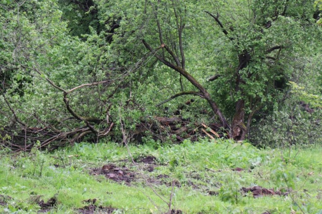 HtVeic7TJ5U-1024x683 Председатель райисполкома Роман Сергун  провел выездное совещание