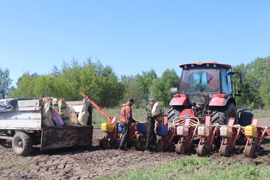 IMG_0473-1024x683 Посевная в Ветковском районе подходит к завершению