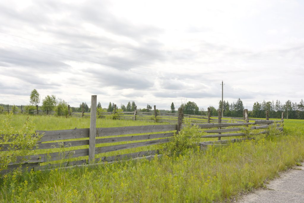 DSC9023-1024x683 Федоровка — деревня с харизмой