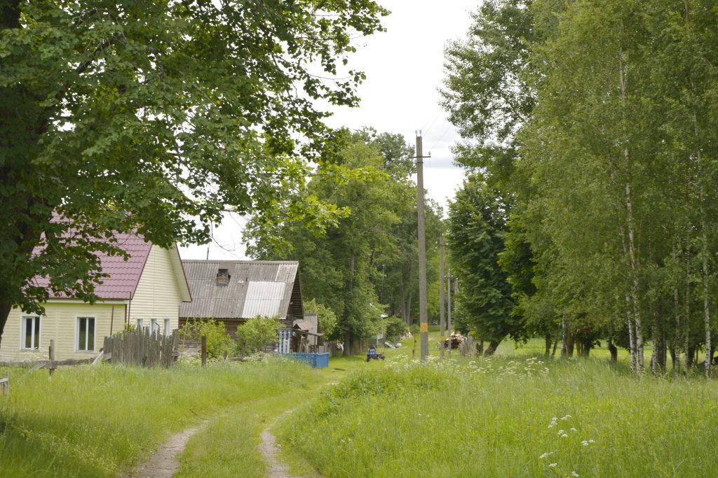DSC9038-1024x683 Федоровка — деревня с харизмой