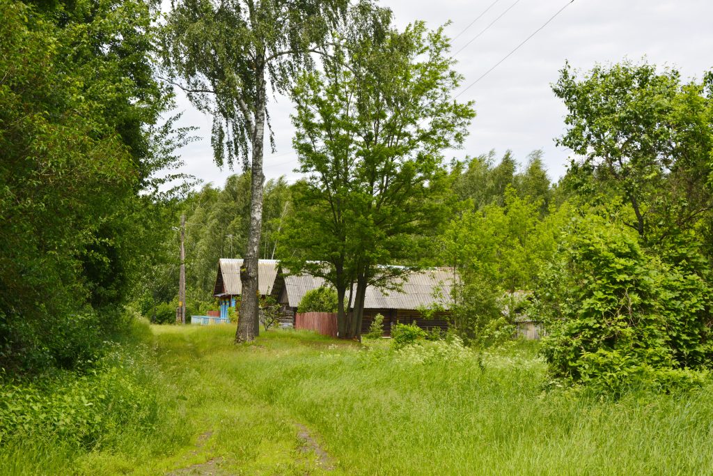 DSC9048-1024x683 Федоровка — деревня с харизмой