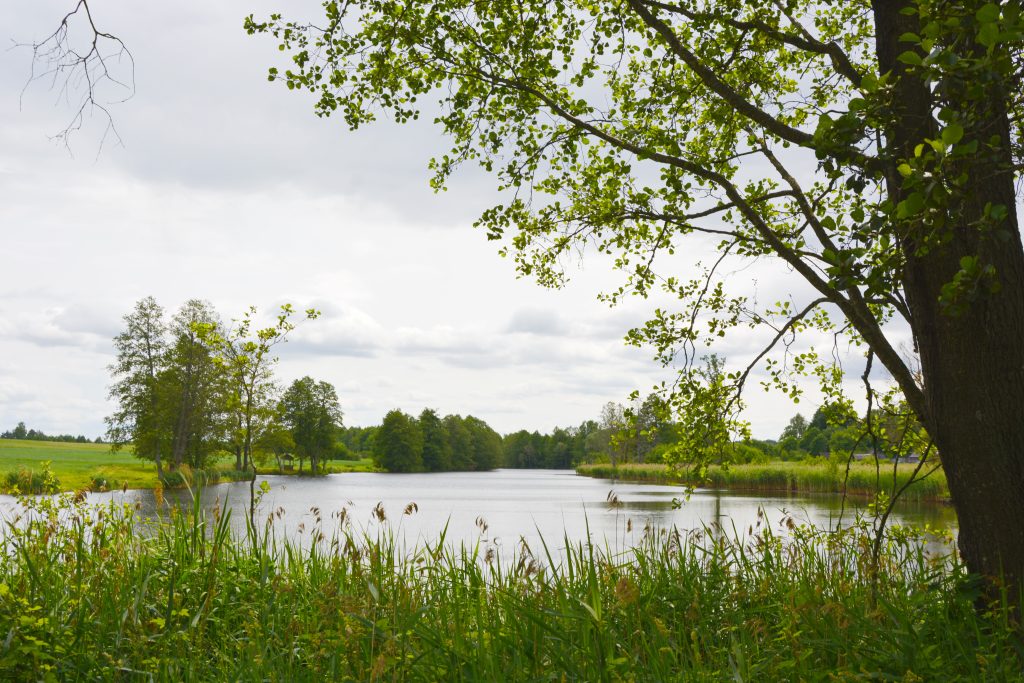 DSC9049-1024x683 Федоровка — деревня с харизмой