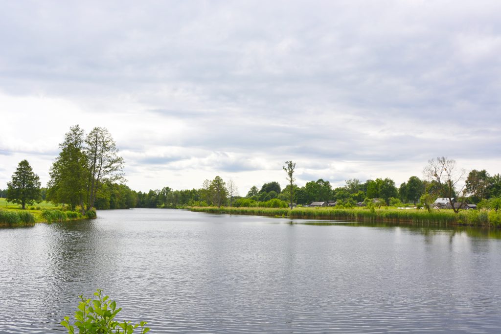 DSC9059-1024x683 Федоровка — деревня с харизмой