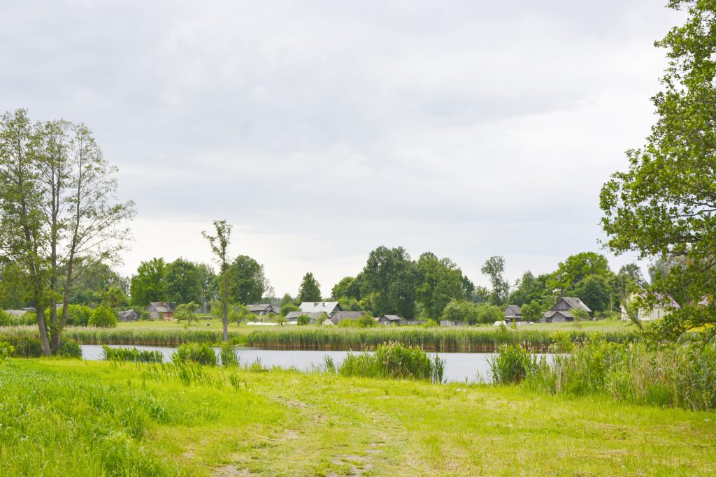 DSC9061-1024x683 Федоровка — деревня с харизмой