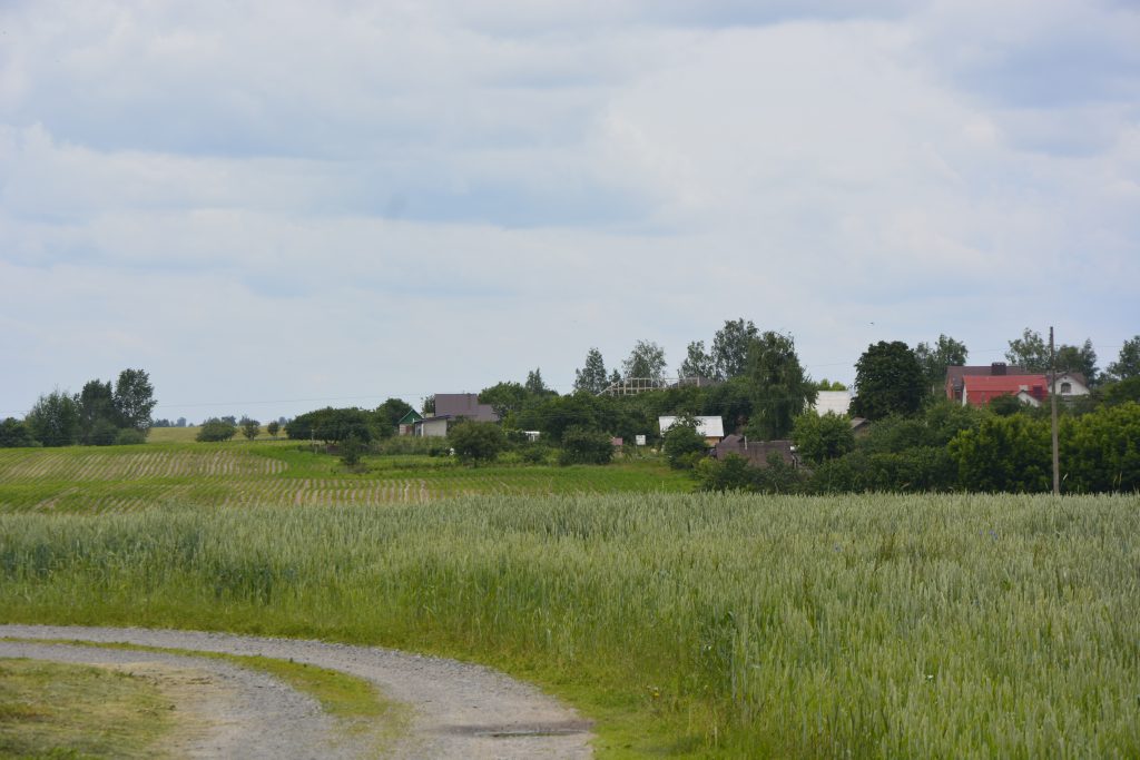 DSC9197-1024x683 Столетний Золотой Рог