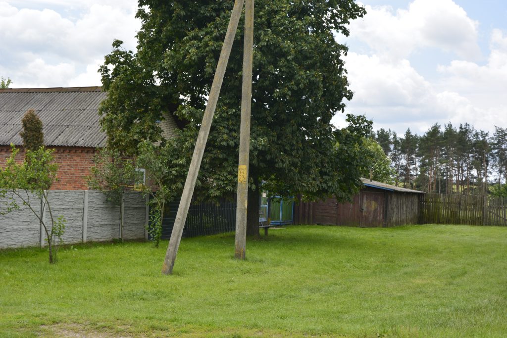 DSC9203-1024x683 Столетний Золотой Рог