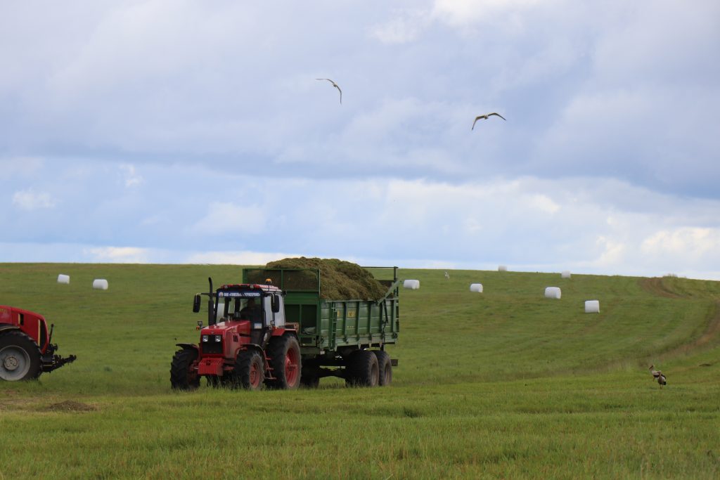 IMG_1997-1024x683 Кормозаготовка — залог успеха в сельском хозяйстве