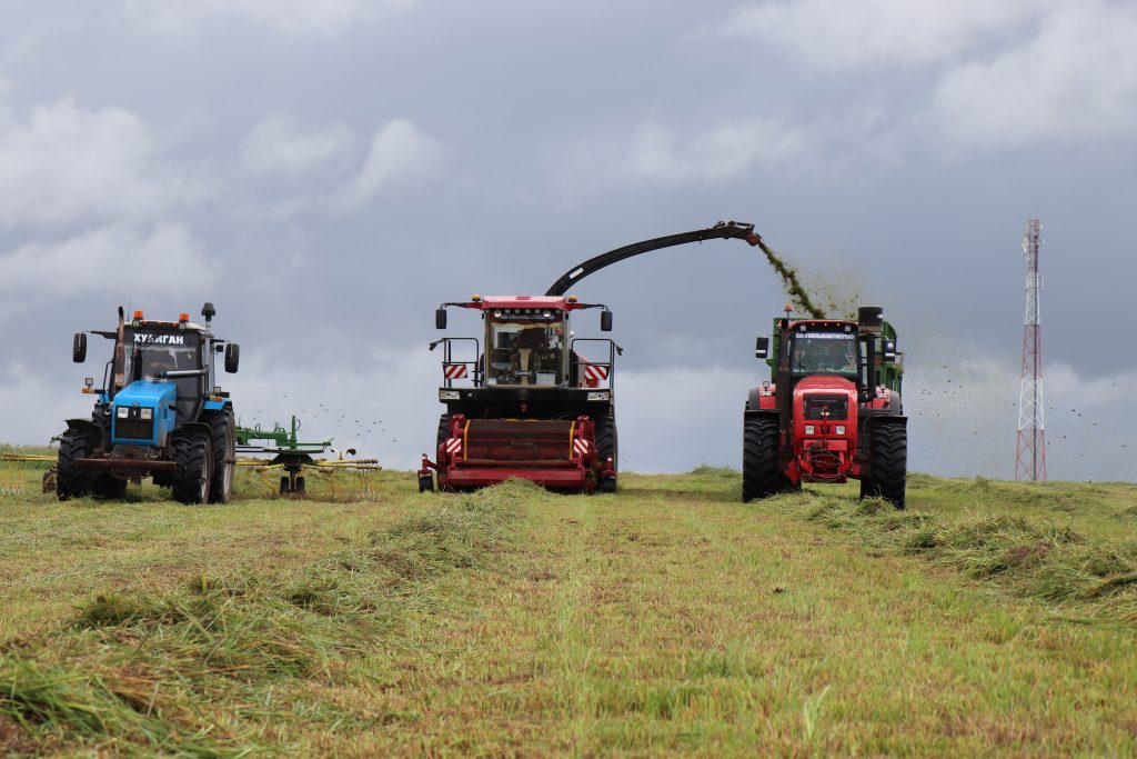 IMG_2014-1024x683 Кормозаготовка — залог успеха в сельском хозяйстве
