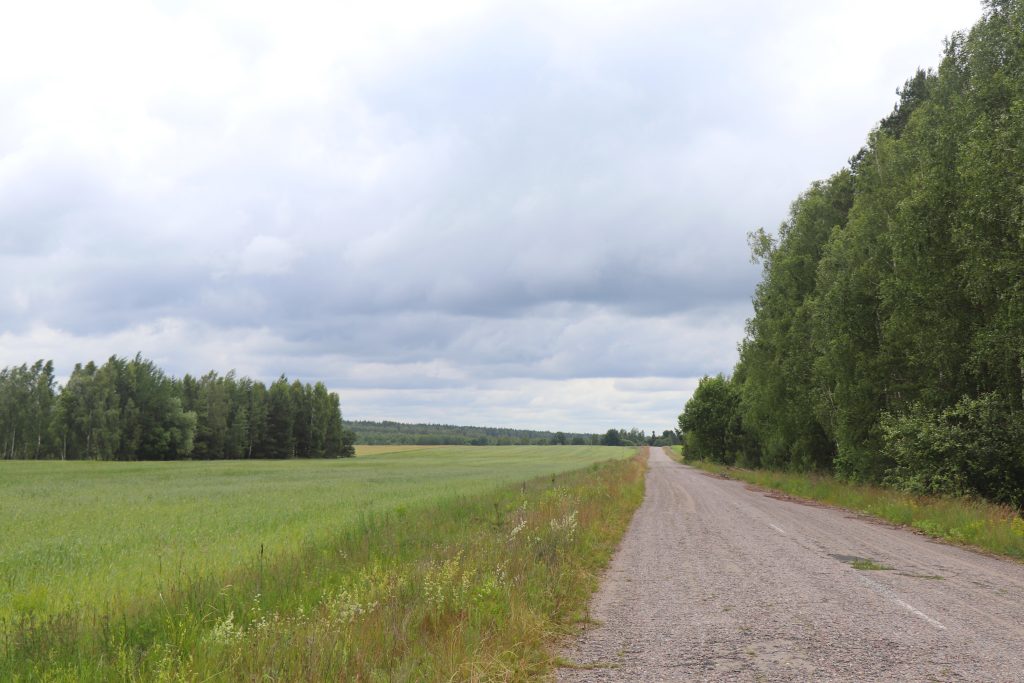 вавиловка-федоровка3-1024x683 Императрица Екатерина II — дорогами Ветковщины