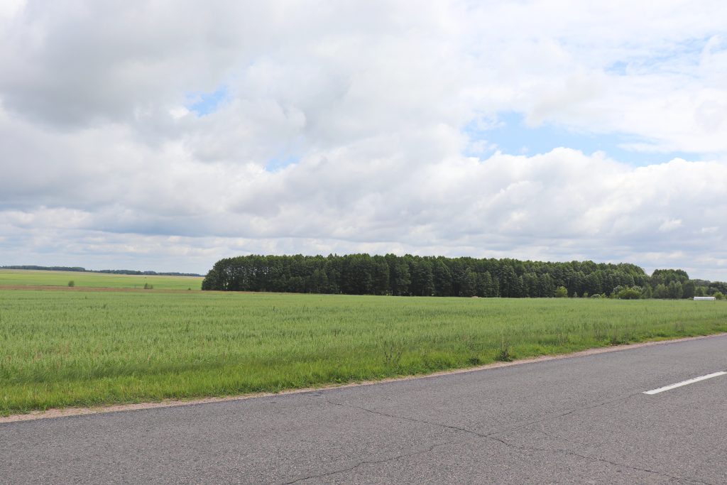 колбовка3-3-1024x683 Императрица Екатерина II — дорогами Ветковщины