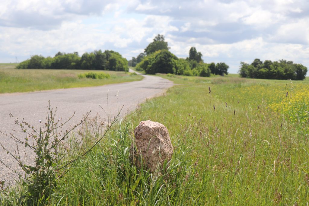 милля-екатерины-1024x683 Императрица Екатерина II — дорогами Ветковщины
