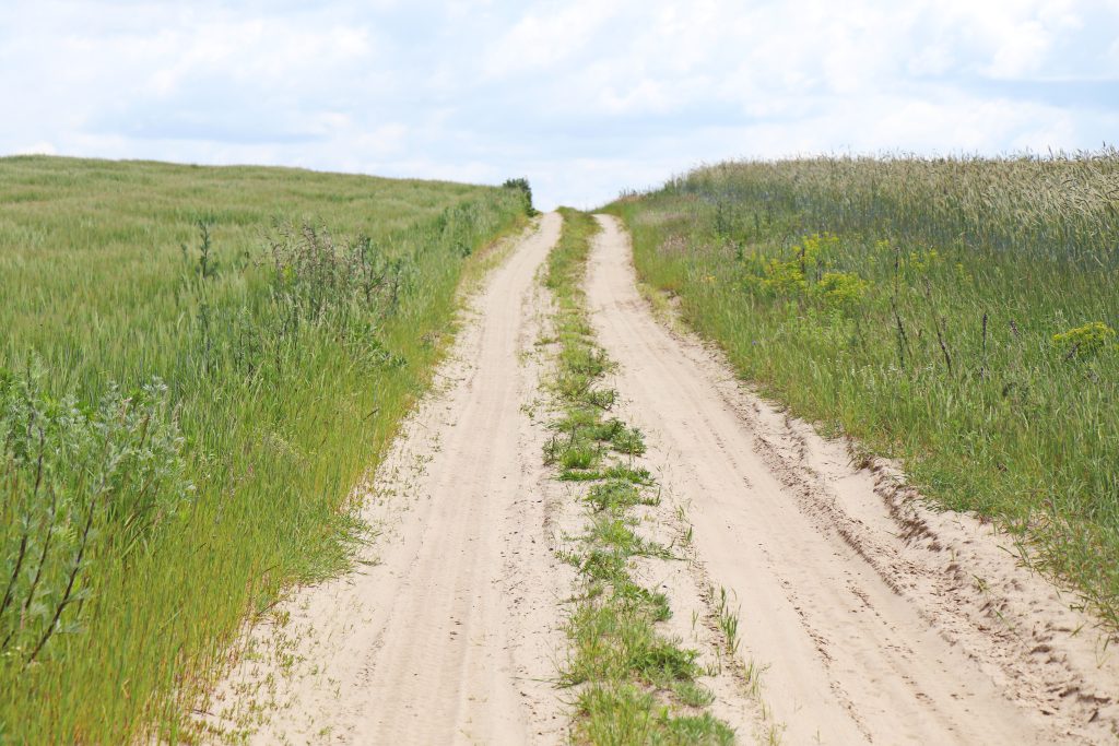 финиш1-1-1024x683 Императрица Екатерина II — дорогами Ветковщины