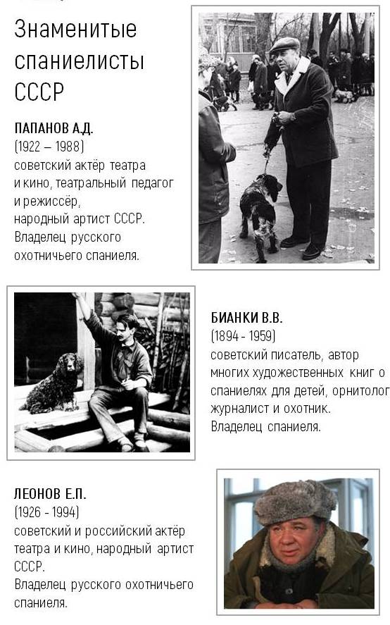 3 РОС — единственный и неповторимый
