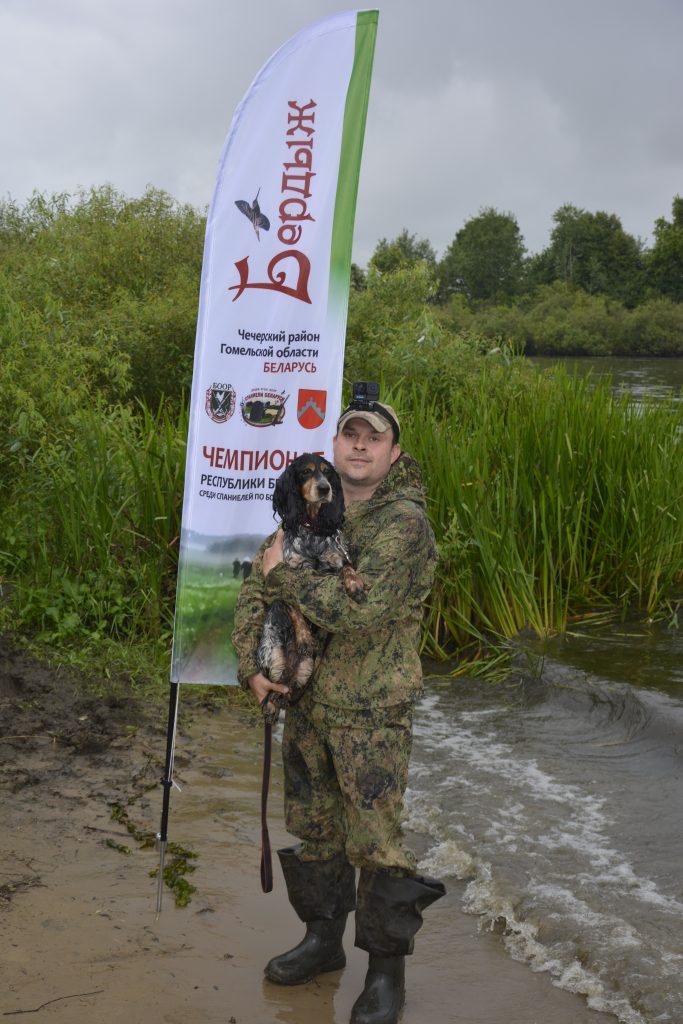 DSC9458-683x1024 Чемпионат спаниелей «Бердыж-2025» определил полевого чемпиона Республики Беларусь